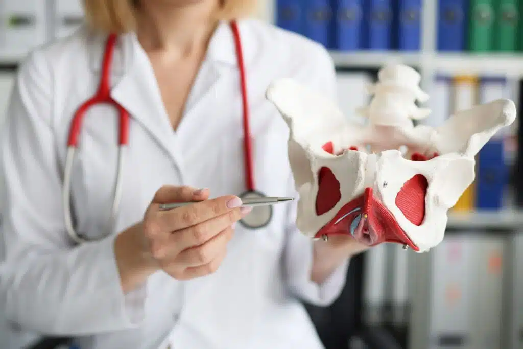 Pelvic Floor